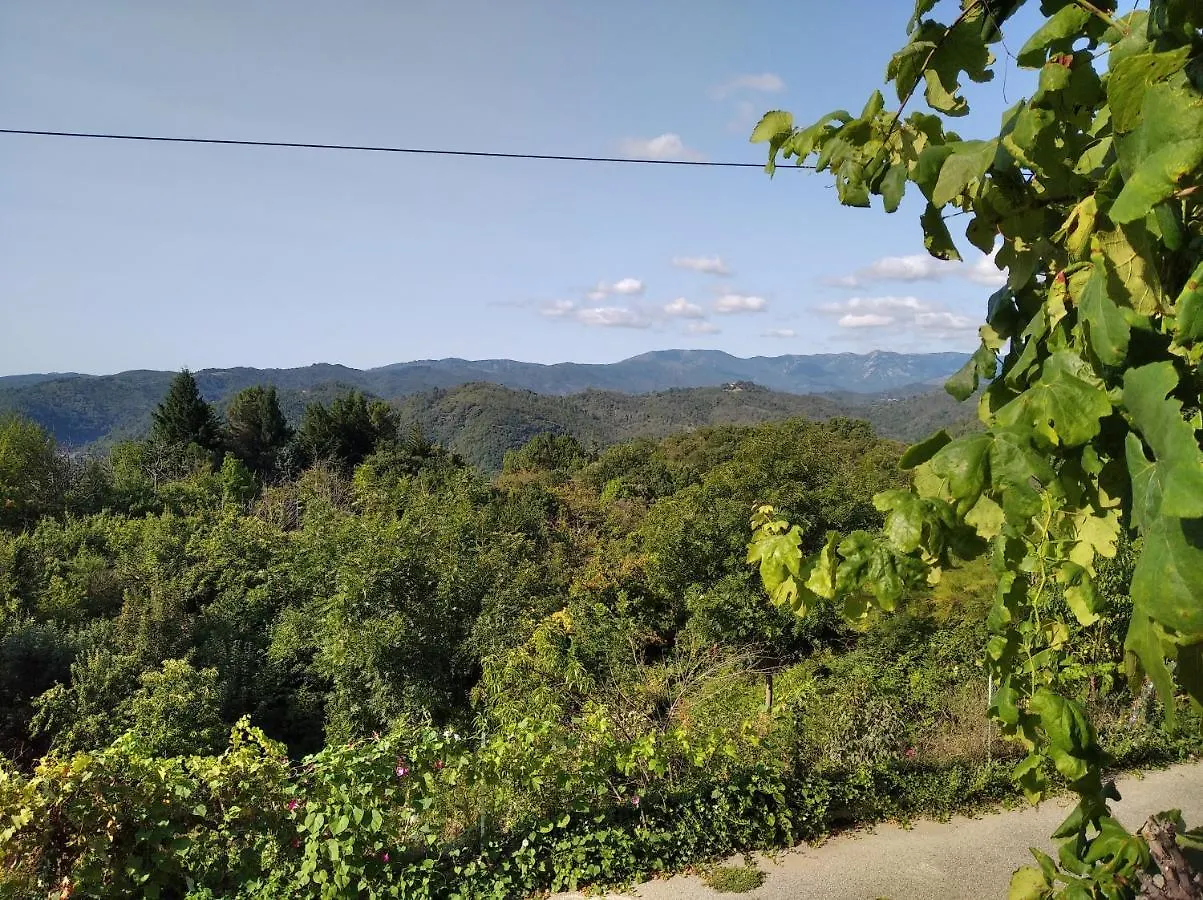 Les Figeres - Les Gites De Pierregras Vals-les-Bains Holiday home